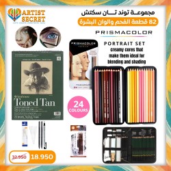 Tonde Tan Sketch Set 82 Piece Professional Charcoal and Skin Tones